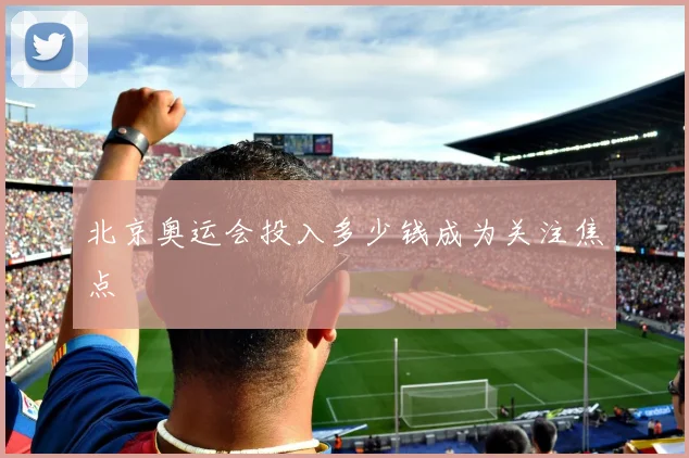 北京奥运会投入多少钱成为关注焦点