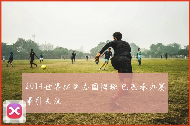 2014世界杯举办国揭晓 巴西承办赛事引关注